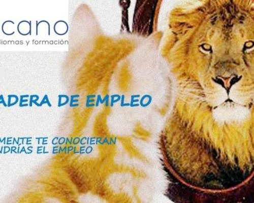 Nuevos cursos LANZADERA DE EMPLEO de ELCANO.