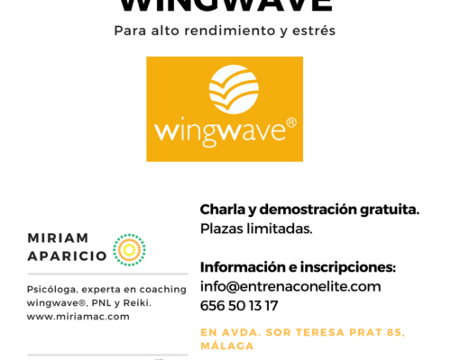 Charla informativa coaching wingwave – Centro Élite